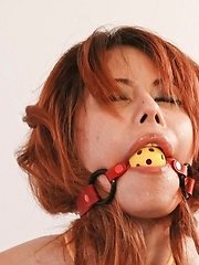 Moe Aizawa Asian has yellow ropes arond boobs and between labia