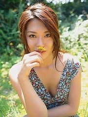 Haruna Yabuki